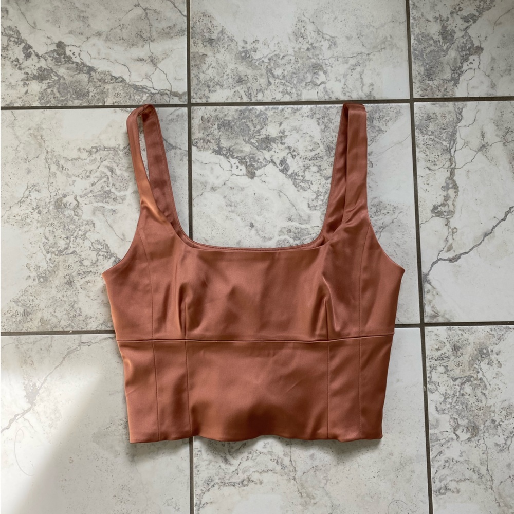 Aritzia • Blush Silk Top